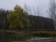 Пороскотень з panoramio.com