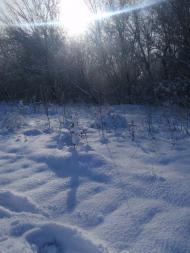 Усатове з panoramio.com