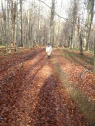 Верхнє Гусине з panoramio.com