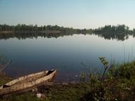 Пугач з panoramio.com