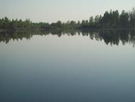 Пугач з panoramio.com