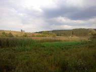 Половецьке з panoramio.com