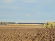 Веселий Кут з panoramio.com