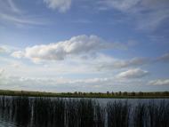 Грибенинка з panoramio.com