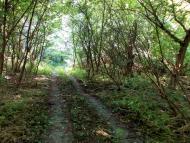 Львів з panoramio.com