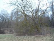 Літочки з panoramio.com