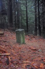 Згари з panoramio.com - Згари