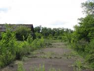 Зелений Гай з panoramio.com