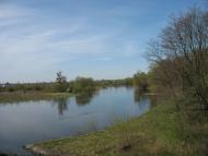 Старовойтове з panoramio.com