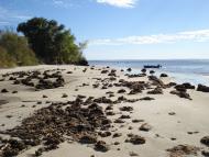 Велика Андрусівка з panoramio.com