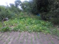 Бахтинок з panoramio.com