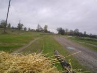 Деревини з panoramio.com