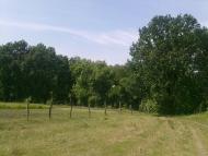 Яцьки з panoramio.com