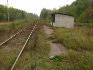 Язвинка з panoramio.com