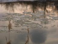 Підлісне з panoramio.com