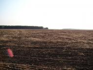 Селище з panoramio.com