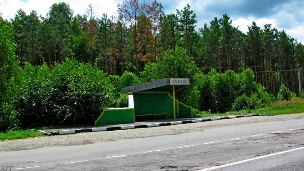 Кураш з panoramio.com - Кураш