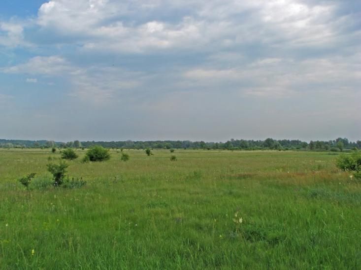 Плавні з panoramio.com - Плавни
