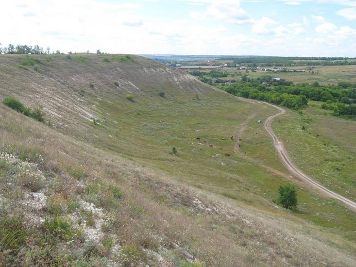 Дмитрівка з panoramio.com - Дмитровка