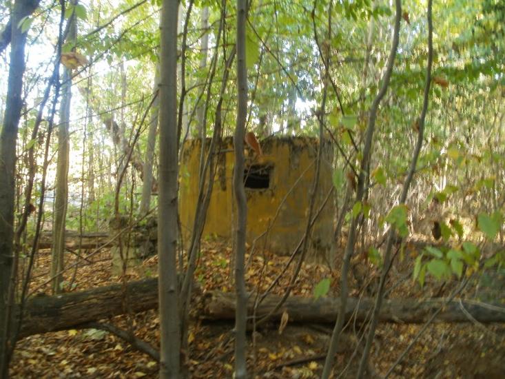 Гунча з panoramio.com - Гунча