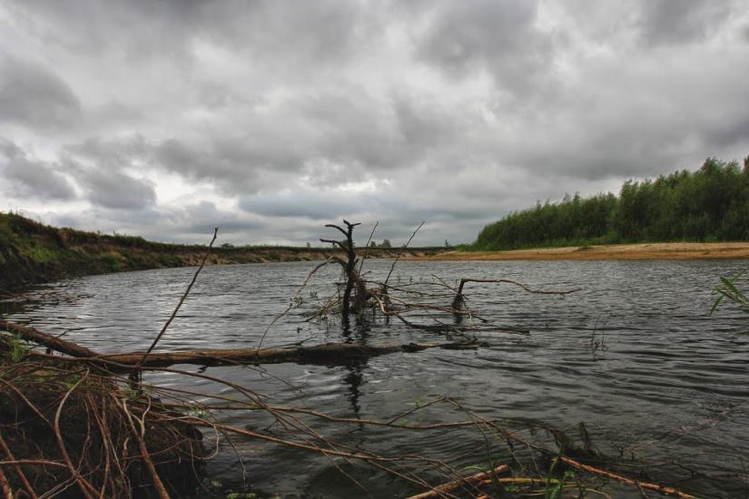 Літочки з panoramio.com - Леточки