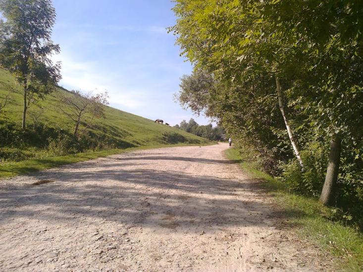 Лідихів з panoramio.com - Lidykhiv