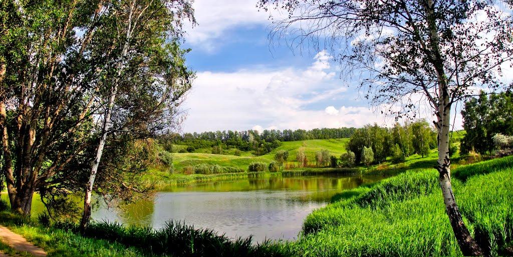 Вільшани з panoramio.com - Ольшаны
