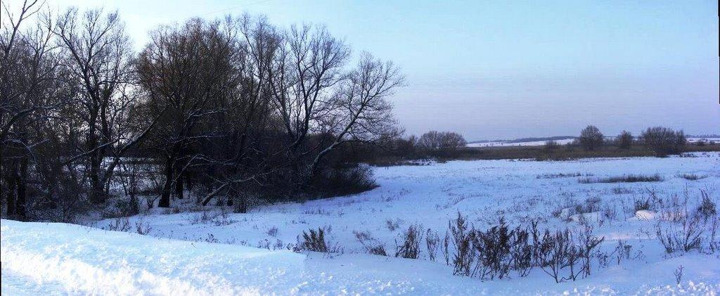 Вороне з panoramio.com - Вороне