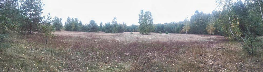 Ровжі з panoramio.com - Ровжи