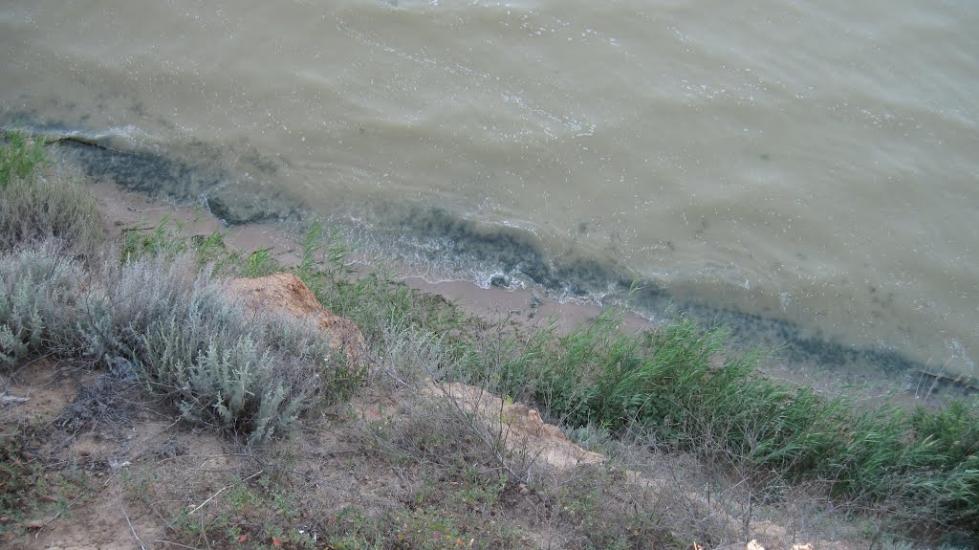 Лупареве з panoramio.com - Лупарево