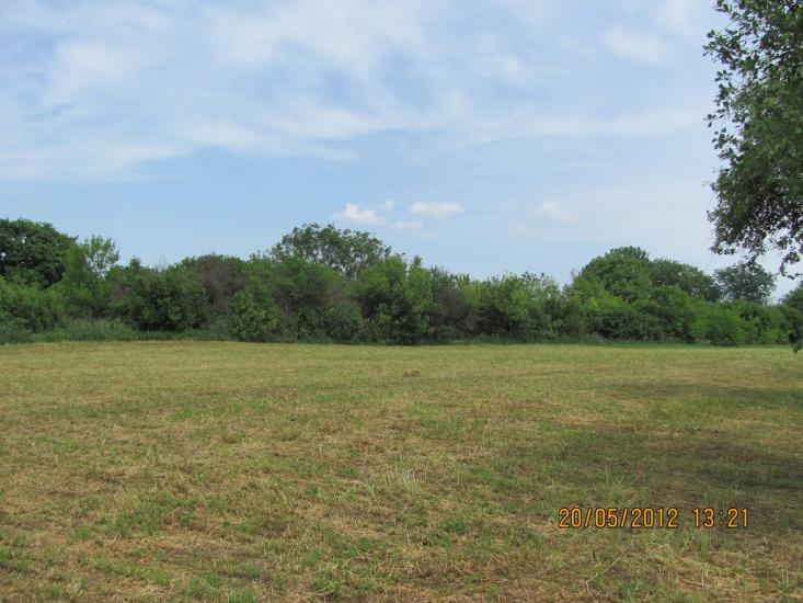 Бузникувате з panoramio.com - Бузникувате