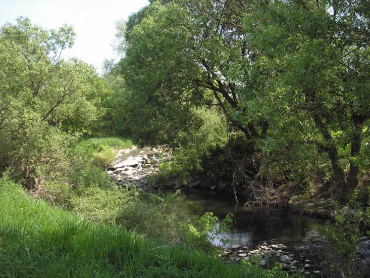 Сторожниця з panoramio.com - Сторожница