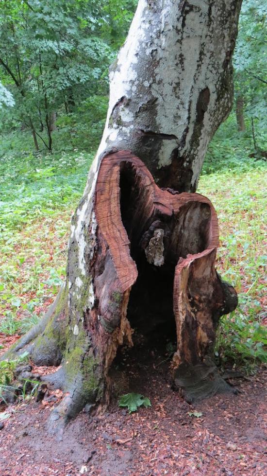 Краснокутськ з panoramio.com - Краснокутск