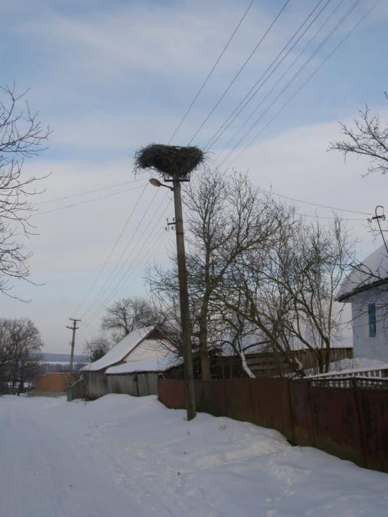 Голенищеве з panoramio.com - Голенищеве