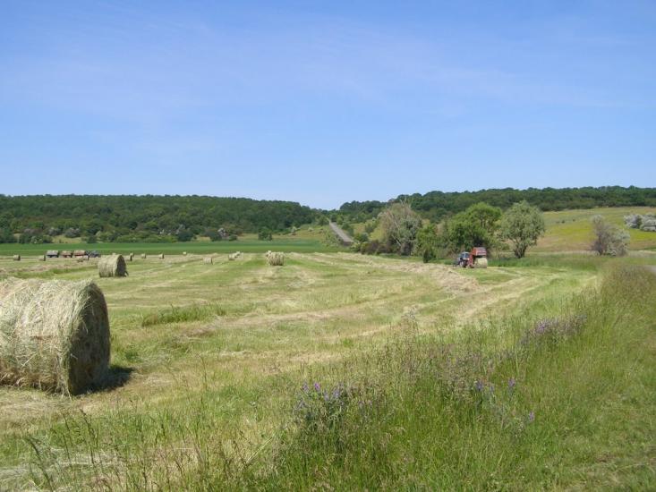 Климівка з panoramio.com - Климовка