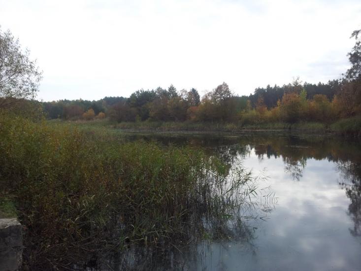 Руда-Брідська з panoramio.com - Руда-Брідська