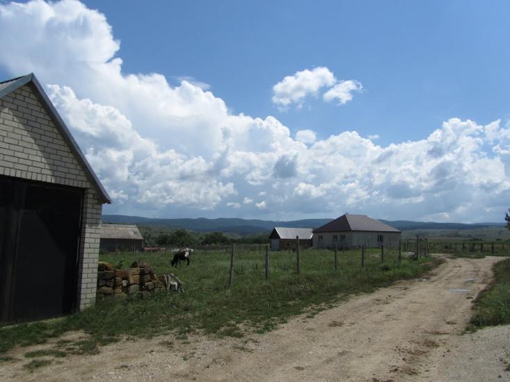 Новокленове з panoramio.com - Новокленове