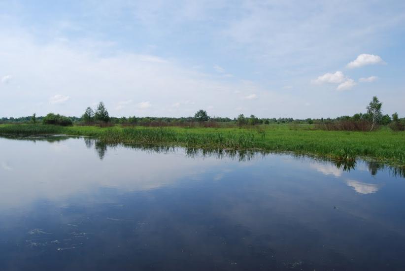 Прохорів з panoramio.com - Прохоров