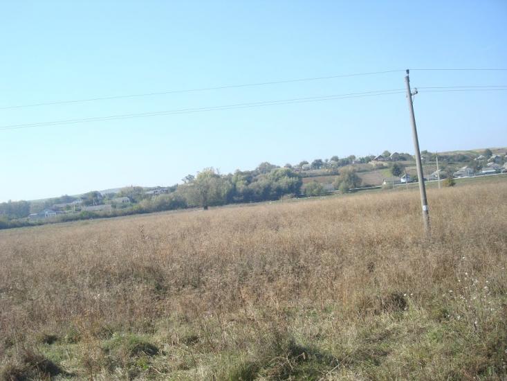 Кутківці з panoramio.com - Кутковцы