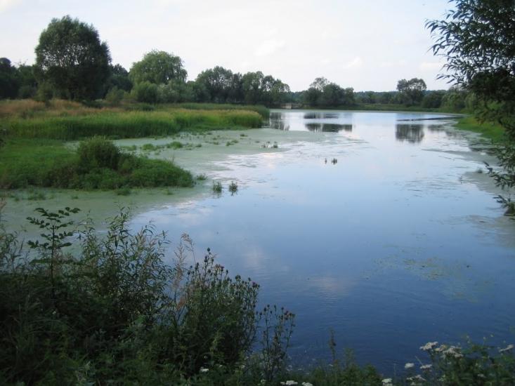 Потелич з panoramio.com - Потелич