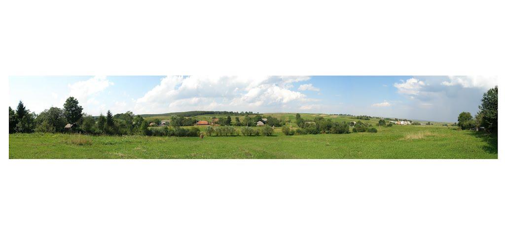 Бортники з panoramio.com - Бортники