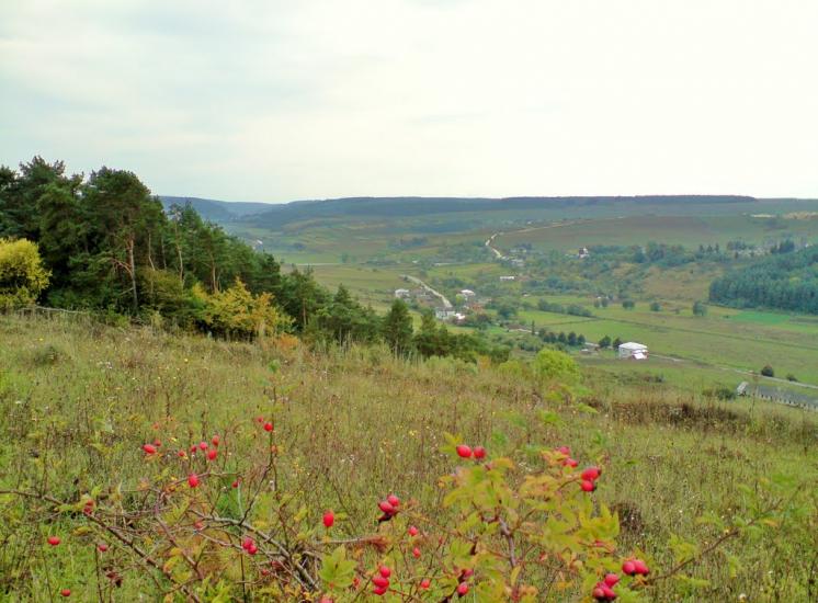 Рогачин з panoramio.com - Рогачин