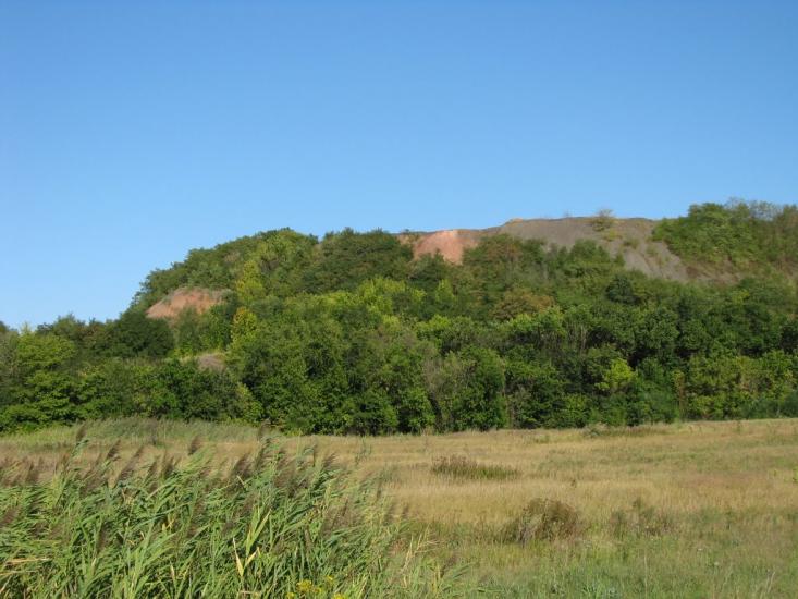 Першотравенськ з panoramio.com - Першотравенск