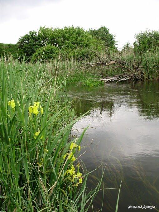 П'ятидні з panoramio.com - Pyatydni