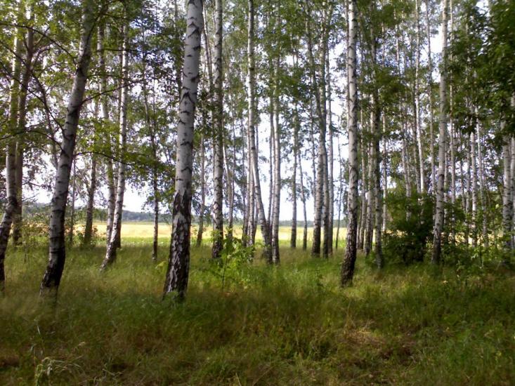 Ватутіне з panoramio.com - Ватутіне