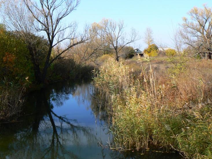 Біловодськ з panoramio.com - Біловодськ