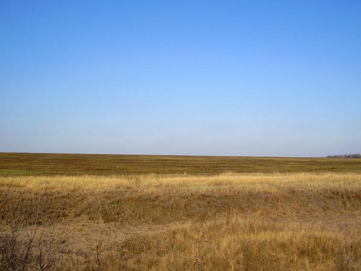 Весняне з panoramio.com - Весняне