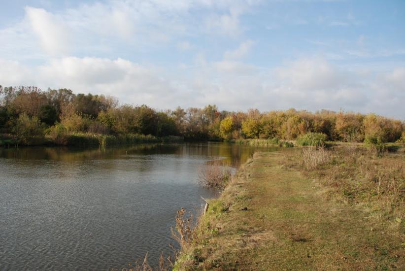 Катеринівка з panoramio.com - Катериновка