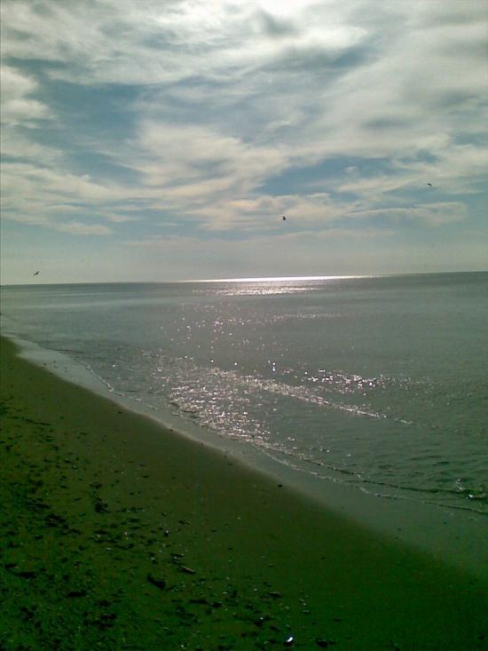 Лебедівка з panoramio.com - Лебедевка