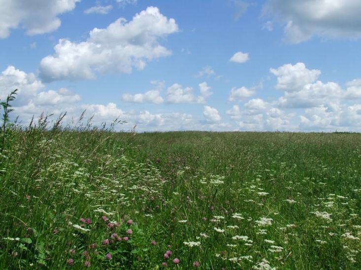 Рубанка з panoramio.com - Рубанка